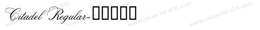 Citadel Regular字体转换